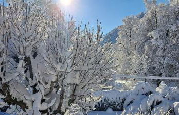 Haus am Kurgarten - Seeberg - Foto 11