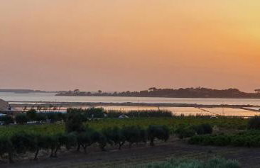 Martina's Vineyard - villa - Foto 39