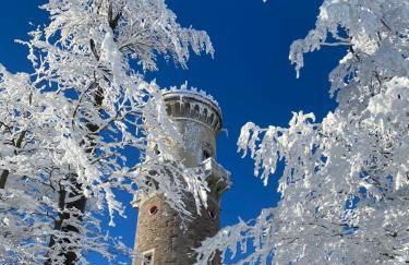 Ferienwohnung mit Blick auf den Kickelhahn - Foto 17