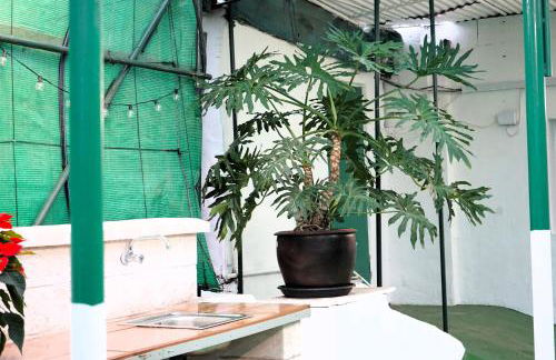 Rural Noalys - Foto 25