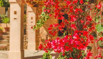 Can Tumasito - Photo 3