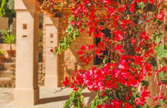 Can Tumasito - Photo 3