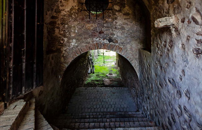 Excursão à antiga Fazenda San Juan Bautista - Foto 5