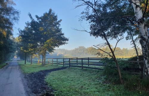 Haus Gutland - Foto 27