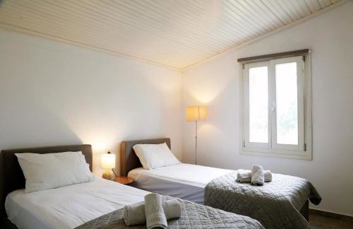 ELAION GAIA - Foto 6