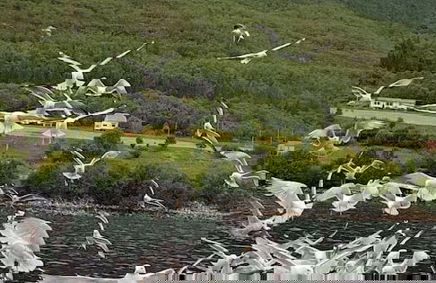 Fiskesenter Birkeland - Photo 46