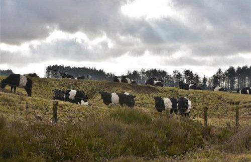 The Toll House - Photo 47