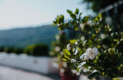 House of Gardenia - Foto 79