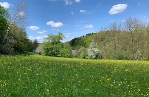 Ferienwohnung in historischer Mühle - Foto 22