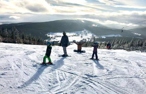 Willa Widokówka Lubawka - Foto 51