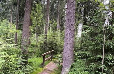 The Bridge - between NewZealand & OreMountains - Foto 46