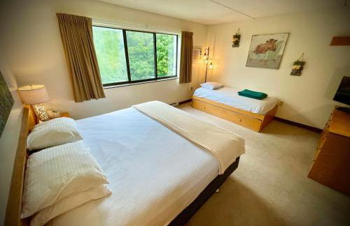 Mountain Life Retreat at Smuggler's Notch Resort - Foto 10