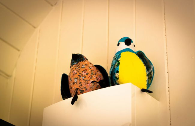 Beds of Silk Luxury Glamping - Photo 20