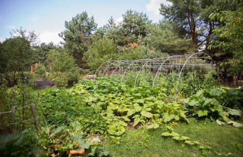 tuŻur domki nad potokiem - Foto 19