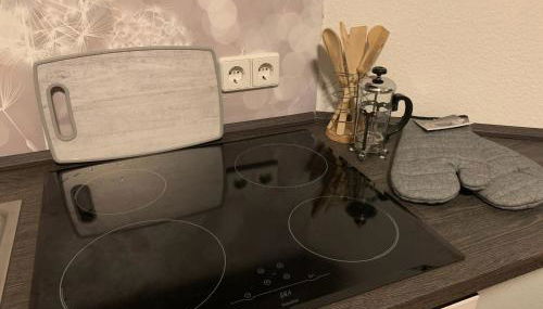 Ferienwohnung Oelzschau - Urlaub im Leipziger Neuseenland - Foto 5