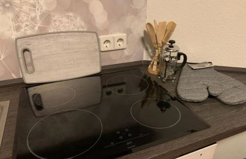 Ferienwohnung Oelzschau - Urlaub im Leipziger Neuseenland - Foto 5