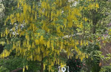 Mawddach View, Snowdonia Hot tub & Pet friendly - Foto 6
