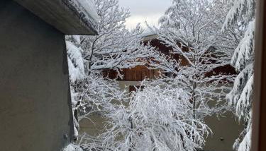 Appartamento immerso nel verde - Foto 3