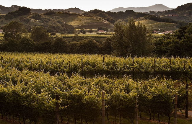 Agriturismo I Comelli - Foto 71