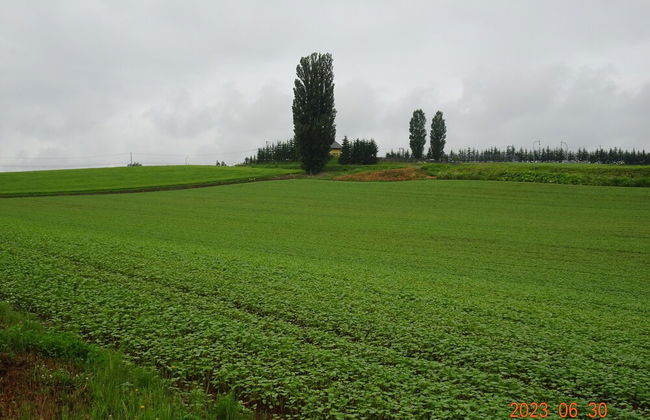 Cottage Ken&Mary - Foto 12