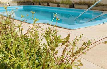 Miau de Pipa - Foto 23