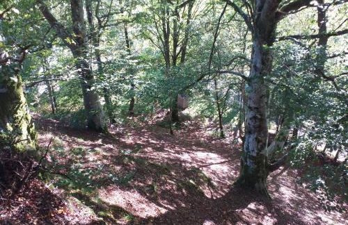 Craignavie Cottage - Foto 10