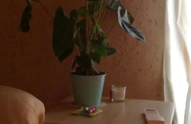 Al Maratoneta - Foto 13