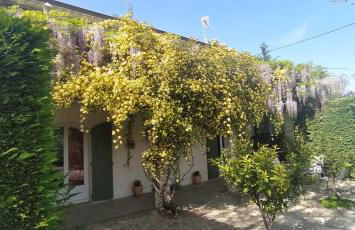 Mas de St-Andiol - Foto 28