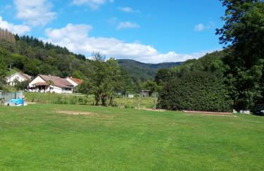 Gîte du Plainet - Foto 14