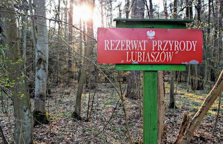 Uroczysko Lubiaszów - Foto 72