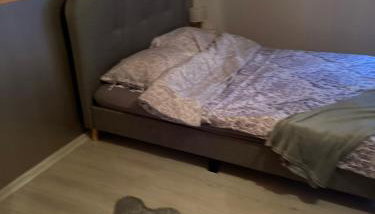 Lawendowe Domki 70m - Foto 5