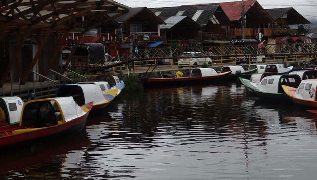 Vereda de la laguna de la Cocha