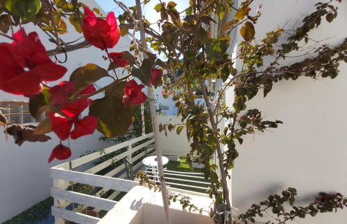 Antonios 1 - Photo 75