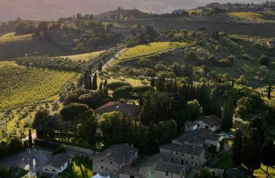 Fattoria la Loggia - Foto 98