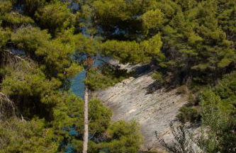 Modern Robinson Veli Bare - Photo 25