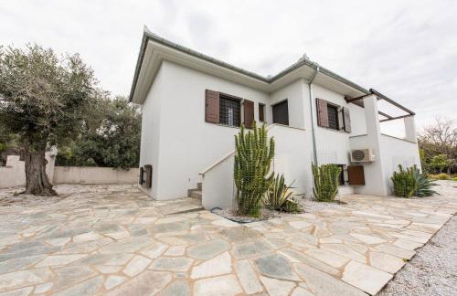 The Olive Home - Photo 9