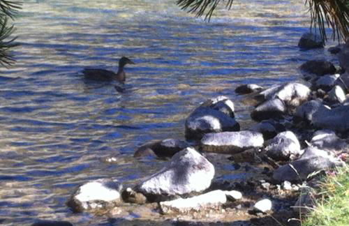 Apartemento Aiguestortes - Foto 29