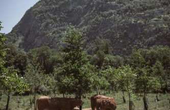 Pyrénées Boutx - Grand Gîte de caractère - Foto 56