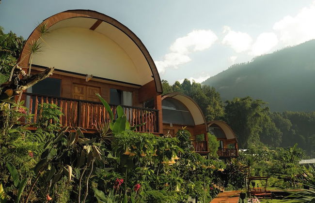 Pondanu Living - Foto 76