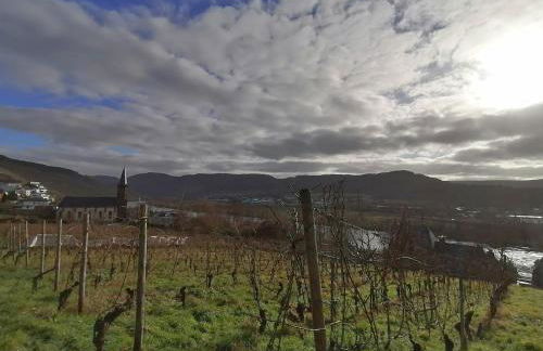 Weingut Schumann - Foto 16