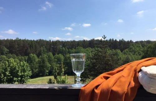 Dom Mossa - Photo 47