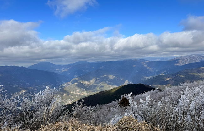 CrossFit Otoyo Strength TINY HOUSE - Foto 29