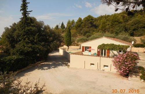 Les Cigales du Ventoux - Foto 3