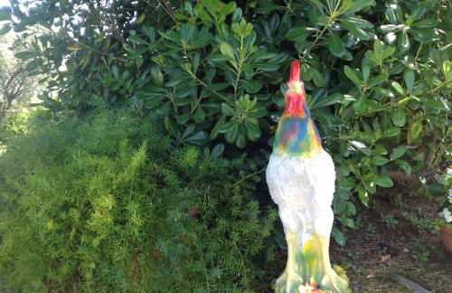 Casale el galet - Foto 14