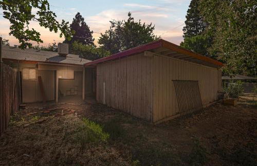 Chic in Chico w 2 Kings for Fam - Photo 40