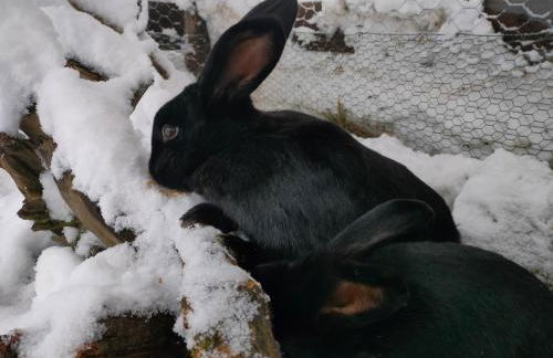 Innertrein - Photo 55