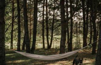 Domek w Lesie - Foto 38