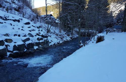 Alpine Escape in Wildemann - Foto 80