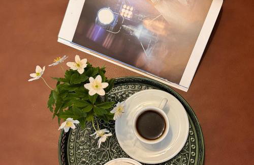 Apartment with a terrace Forest Home Lullula - Photo 13