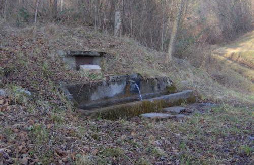 Apartment Ninetta Belluno Dolomiti - Foto 41